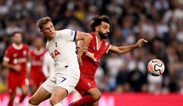 的蓝色王朝 的蓝色王朝