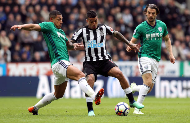 的所有热情 的所有热情