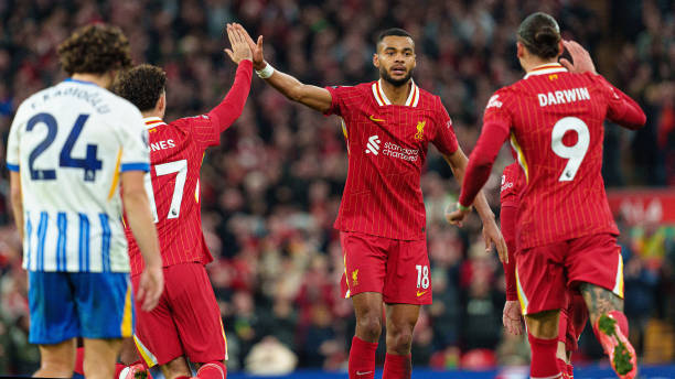 够实现发展 够实现发展